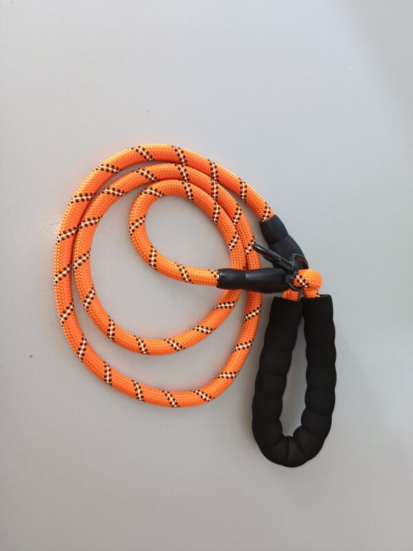 Gepolsterte Hundeleine Reflektierend 1,5-2Meter lang 12mm mittlere u große Hunde – Bild 7